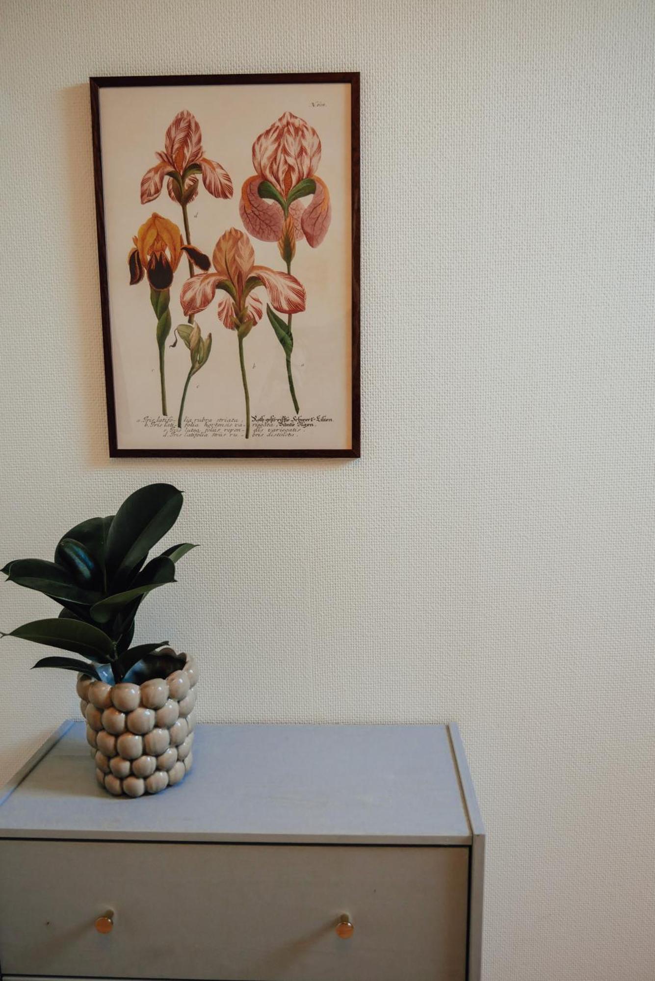 Aespoegarden Bed & Breakfast Klagstorp Экстерьер фото